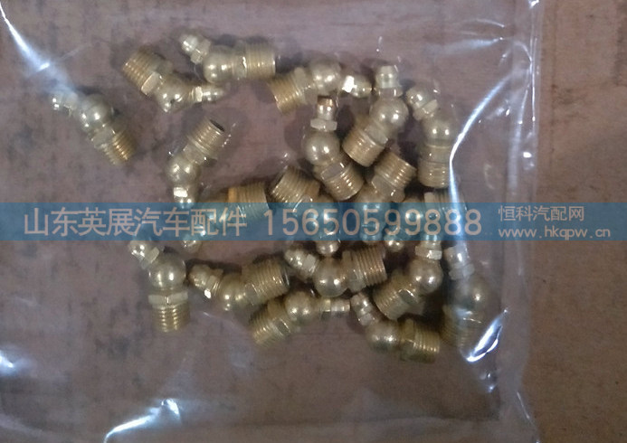 米制锥螺纹滑脂嘴图1