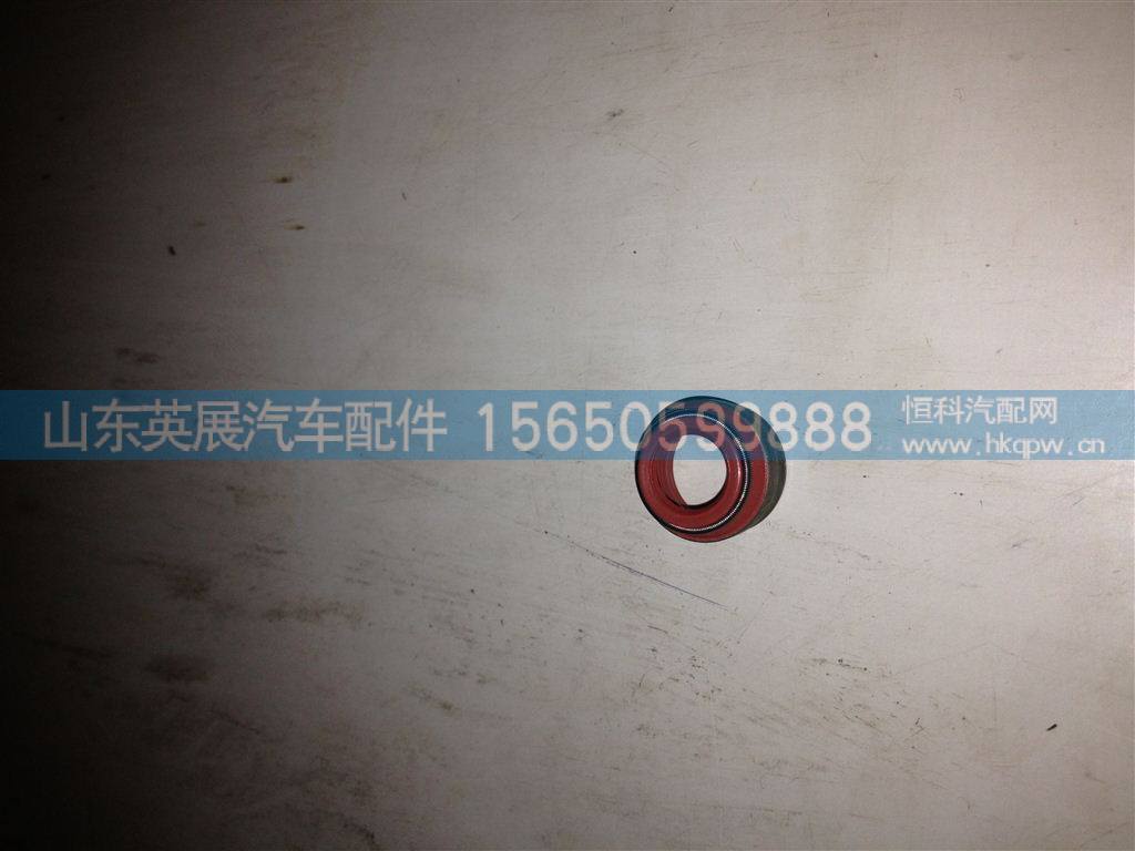 202V04902-0033,,山东英展汽车配件有限公司