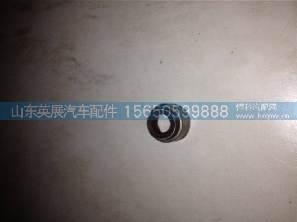 202V04902-0035,,山东英展汽车配件有限公司