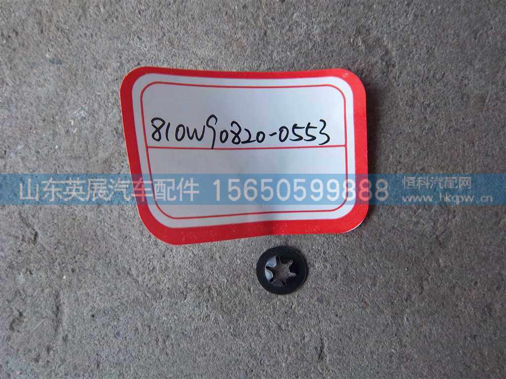 810W90820-0553,,山东英展汽车配件有限公司