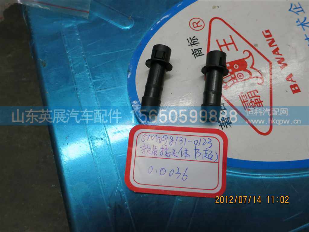 810W98131-0123,,山东英展汽车配件有限公司