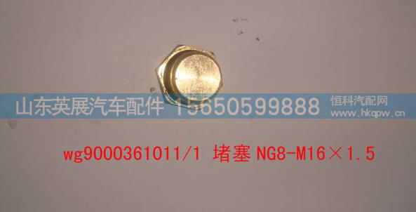 堵塞NG8-M16×1.5图1