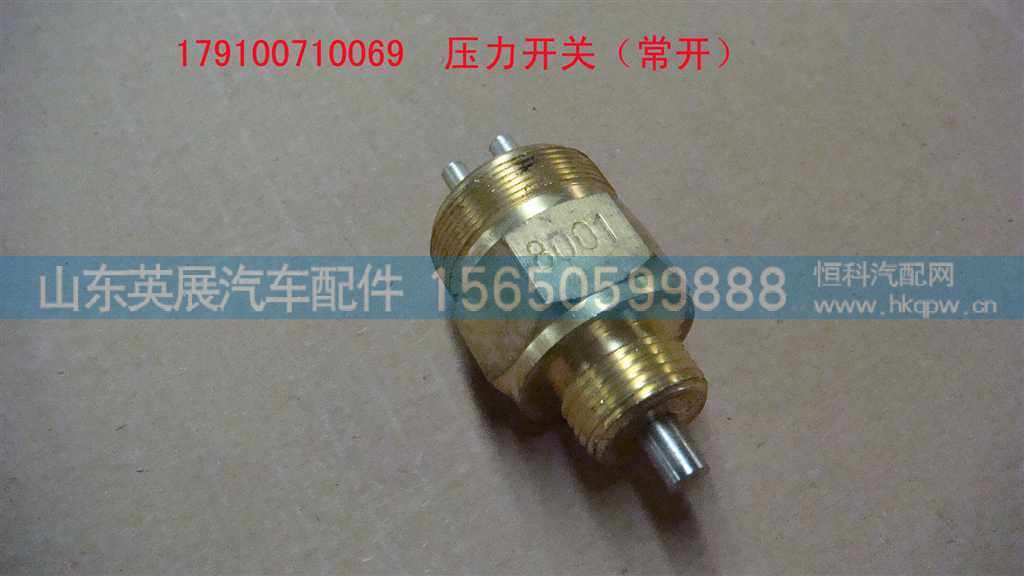 WG9100710069,,山东英展汽车配件有限公司