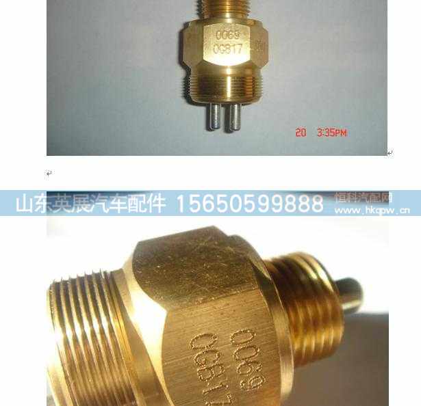 WG9100710069,,山东英展汽车配件有限公司