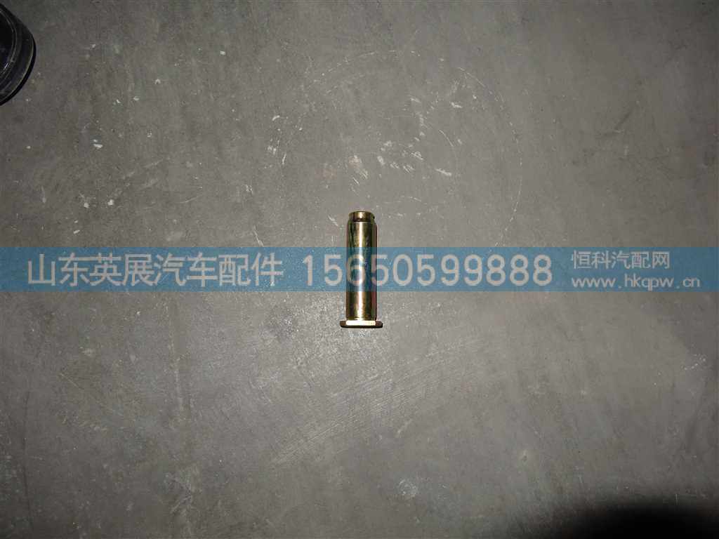 WG9761450122,,山东英展汽车配件有限公司