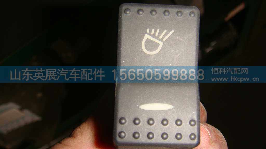 WG9925581029,,山东英展汽车配件有限公司