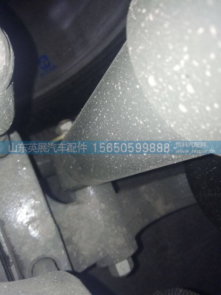 WG9925688110,,山东英展汽车配件有限公司