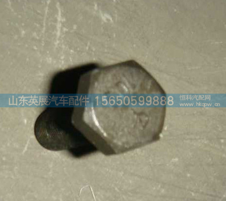 WG9981320013,,山东英展汽车配件有限公司