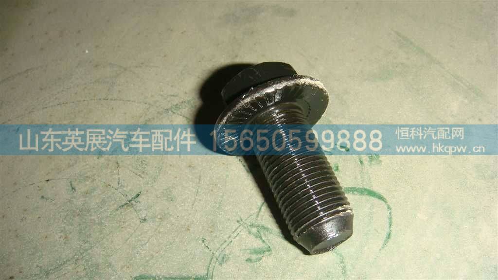 WG9981320048,,山东英展汽车配件有限公司