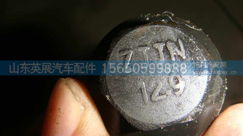 WG9981320048,,山东英展汽车配件有限公司