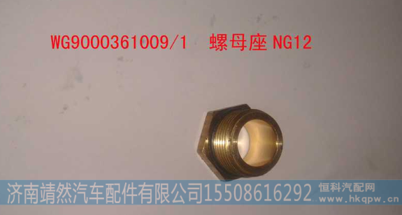 WG9000361009,,济南靖然汽配有限公司
