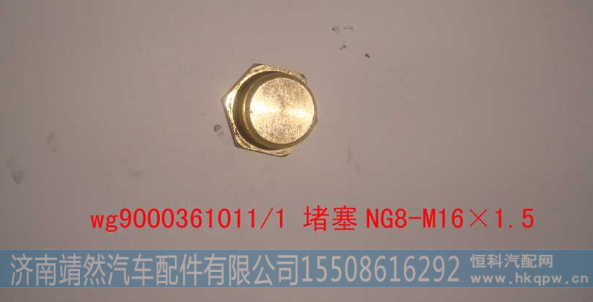 WG9000361011,,济南靖然汽车配件有限公司