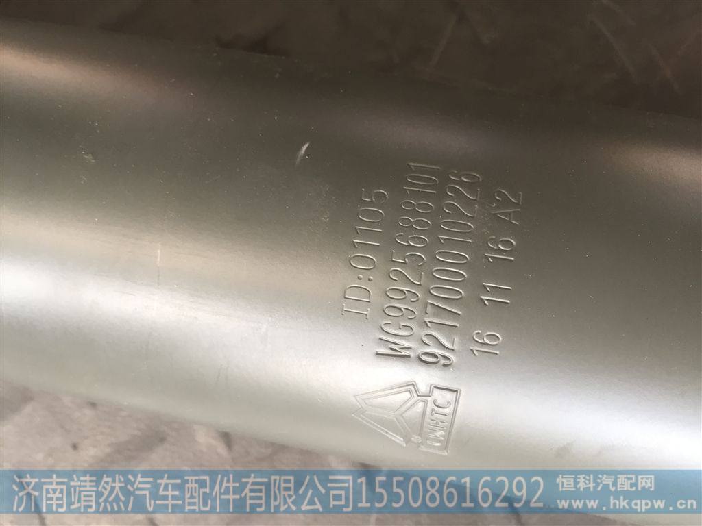 WG9925688101,,济南靖然汽车配件有限公司